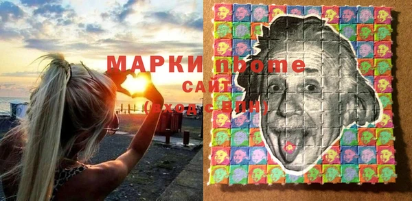 индика Баксан