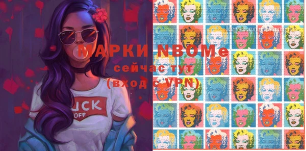 индика Баксан