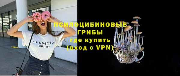 apvp Балахна
