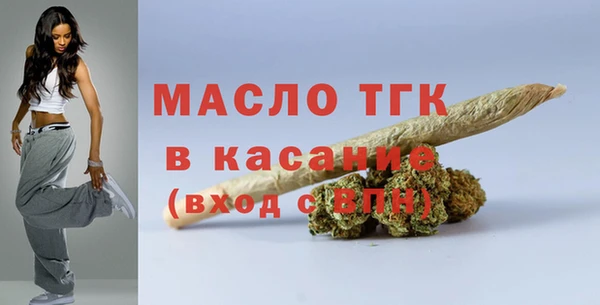 индика Баксан