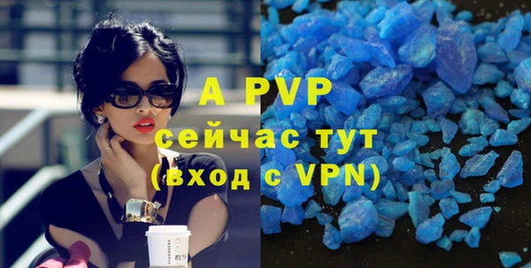 индика Баксан