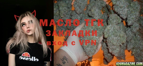 индика Баксан